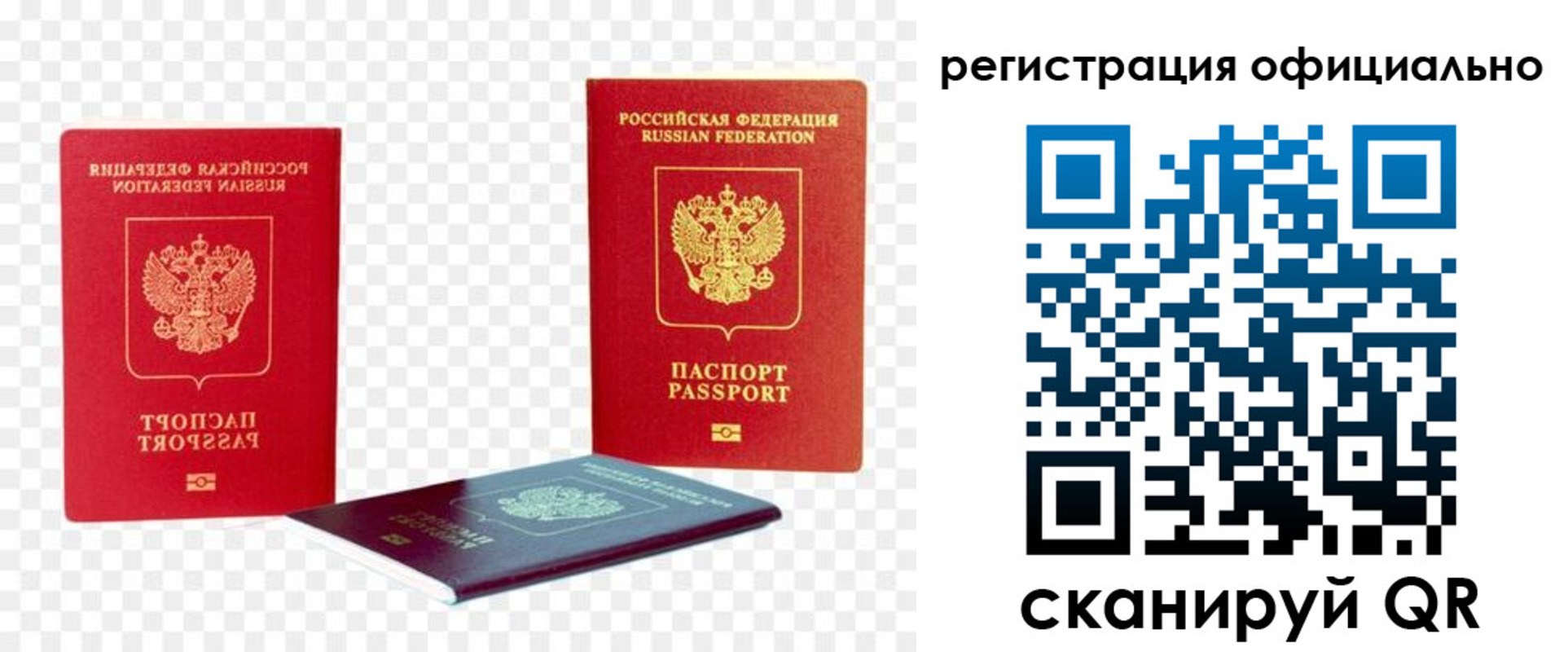 прописка законно в Купино